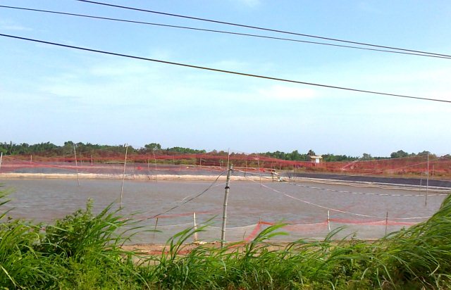 đầu tư ao nuôi tôm