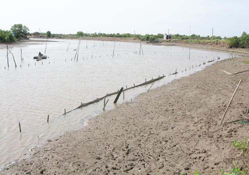 đầu tư nuôi sò