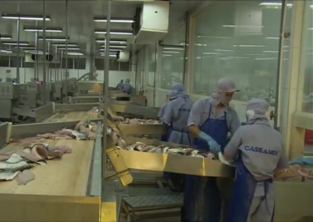 dây chuyền chế biến cá tra