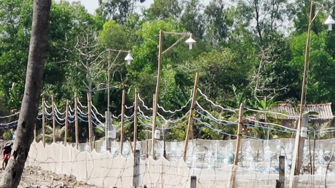 dây điện ở vuông tôm