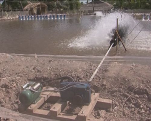 Điện chạy quạt