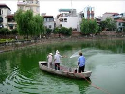 Diệt tảo độc, khử mùi hôi nước hồ Hà Nội bằng LTH.