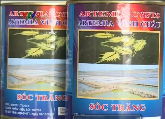 dieu chinh thue artemia