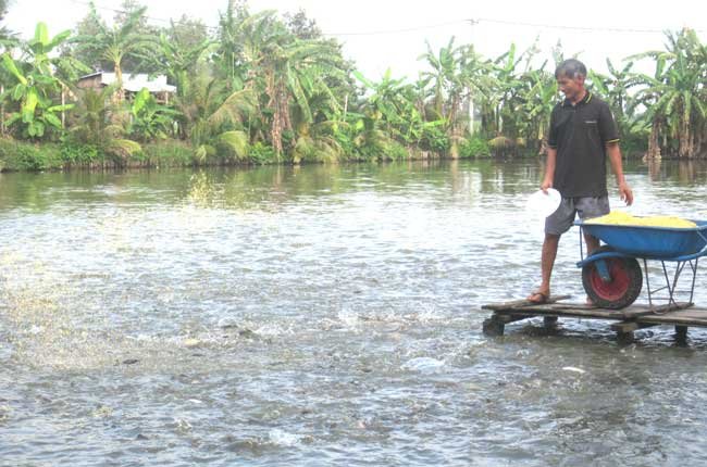 Khi doanh nghiệp thủy sản “đứt” vốn