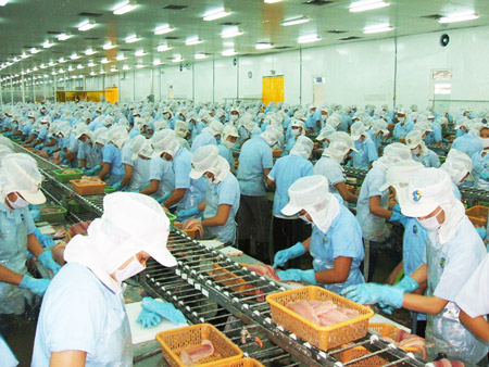 Doanh nghiệp xuất khẩu cá tra