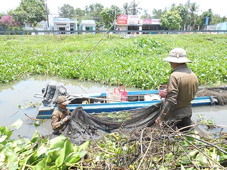 dỡ chà mé