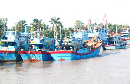 đoàn tàu câu mực