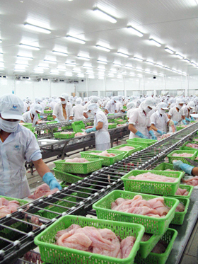 doanh nghiep che bien thuy san