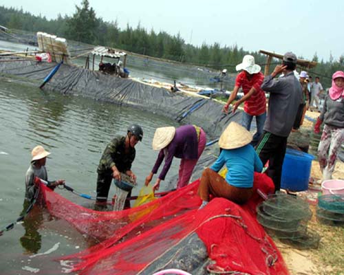 doanh nghiệp và nông dân