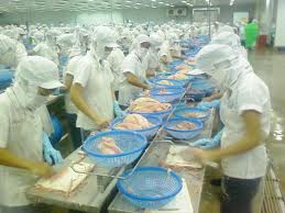 thuế doanh nghiệp