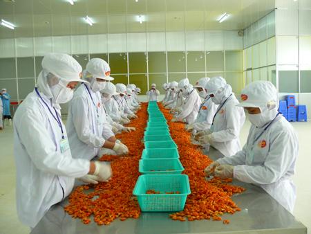 Chế biến tôm (ảnh minh họa)