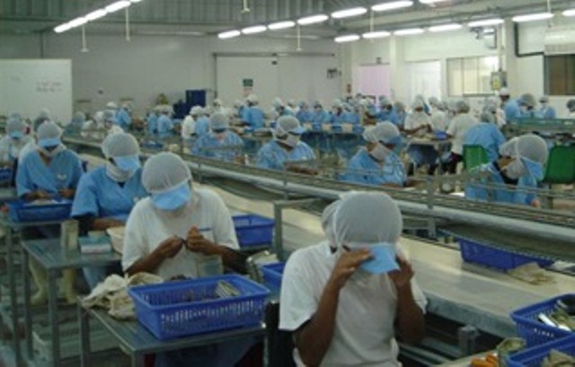 đóng hộp cá ngừ