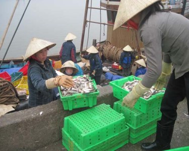 đóng tàu, vươn khơi