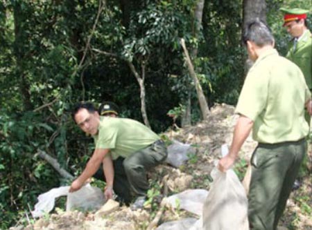 Thả 10 cá thể rắn hổ mang chúa cùng hàng chục cá thể động vật hoang dã quý hiềm về rừng.