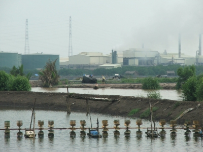 Nhiều ao nuôi tôm phải bỏ (Ảnh: Internet)