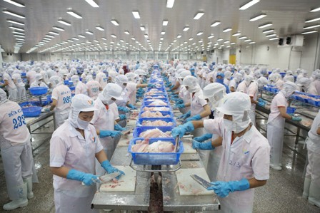 cá tra đồng tháp