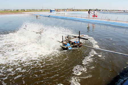 dự án hạ tầng thủy sản