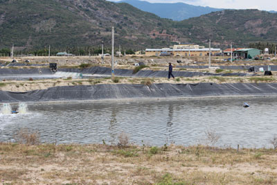 dự án nuôi tôm công nghiệp