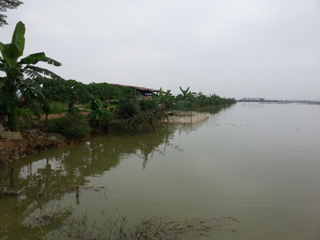 dự án thủy sản