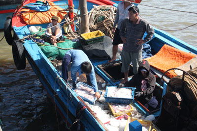 đưa cá lên bờ