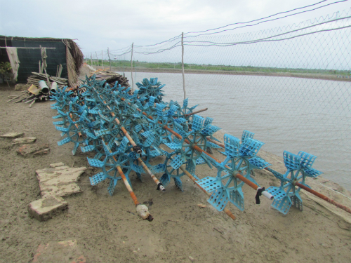 dụng cụ nuôi tôm