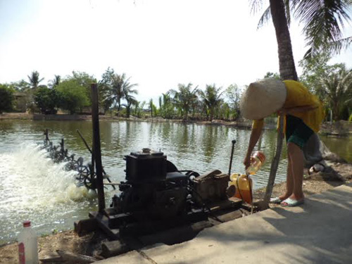 dùng dầu chạy quạt