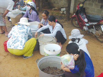 Chợ ếch òn phú quý