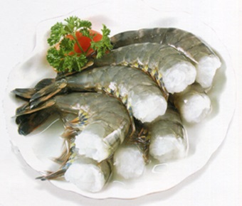 tôm sú