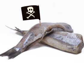 cảnh báo, châu Âu, IUU, đánh cá bất hợp pháp