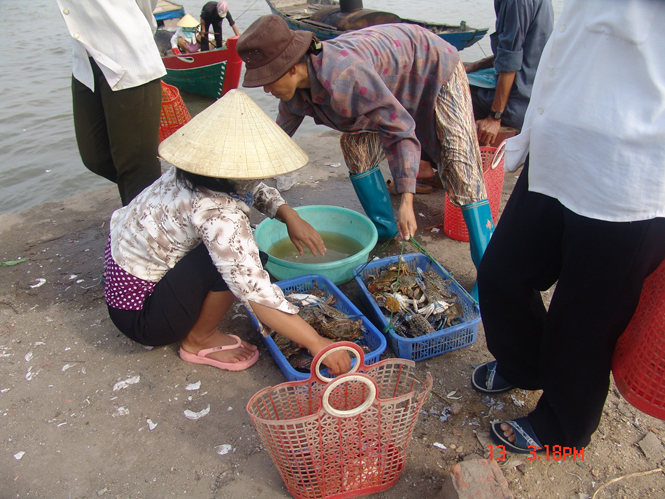 khai thac hai san