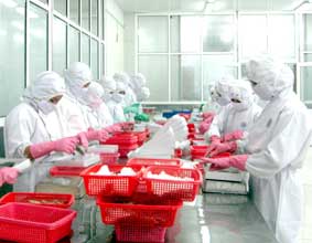 chế biến tôm xuất khẩu