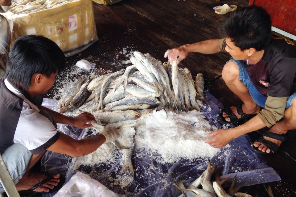 Giá cá chét tăng vọt