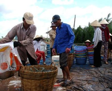 giá cá tra nguyên liệu tăng