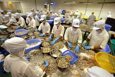 Gia cong xuat khau tom