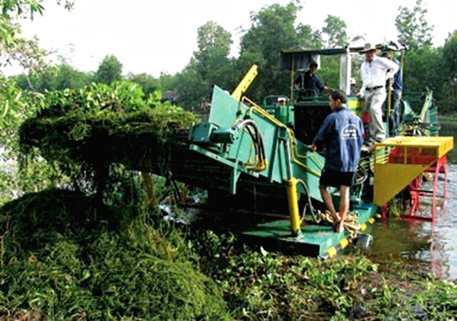 giải pháp xử lý lục bình