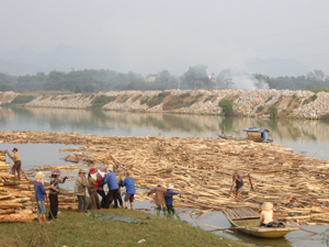 giao thong duong thuy