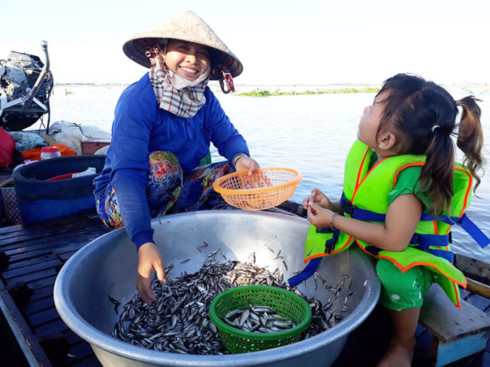 Lũ lên nhanh, An Giang gỡ lệnh cấm khai thác cá linh