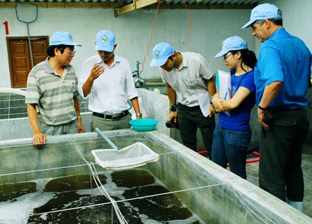 keim soat giong tom the chan trang