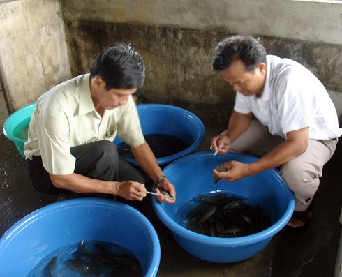 tiêm kích thích tố