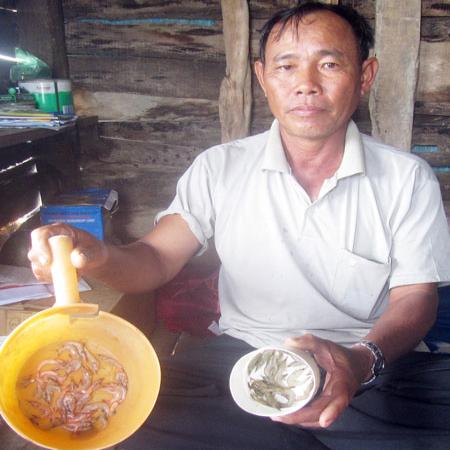 Bát nháo giống thủy sản: Mầm họa của người nuôi tôm Bình Định