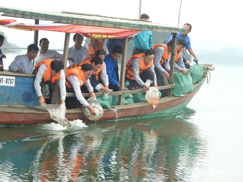 Hơn 800kg cá giống được thả xuống hồ Kẻ Gỗ