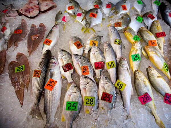 hạn ngạch bắt cá