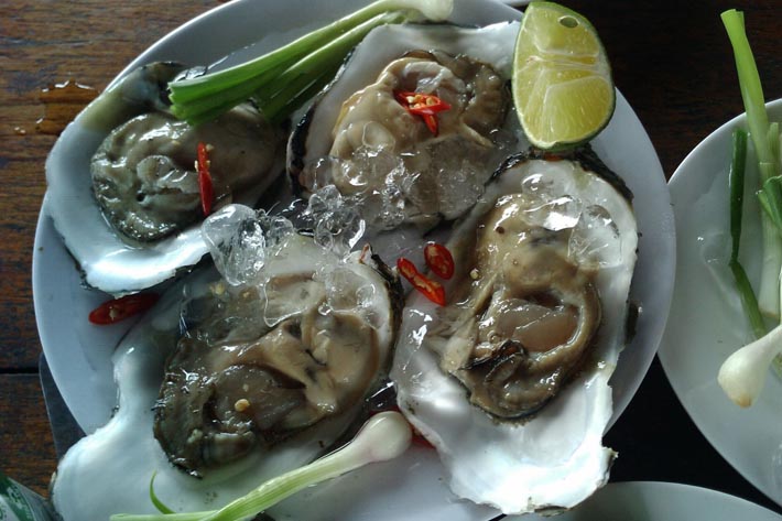 Săn “viagra” dưới đáy sông Nhật Lệ