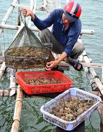nuoi thuy san hieu qua