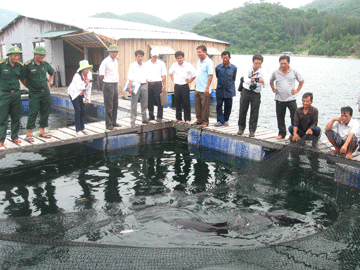 kiểm tra nuôi thủy sản