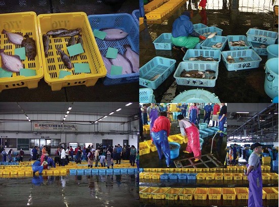 hiệp hội nghề cá