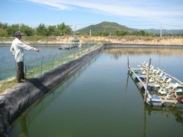 hồ nuôi tôm Bàu Dài