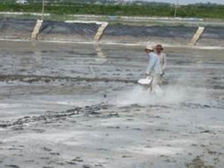 hỗ trợ chống dịch bệnh