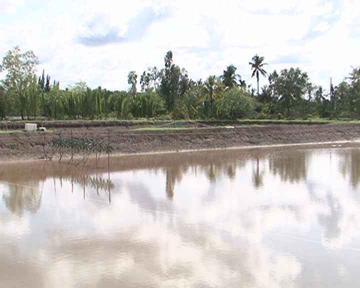 hỗ trợ thiệt hại