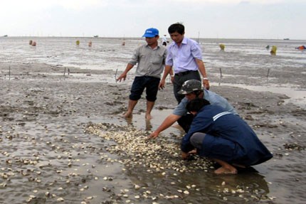 ho tro nguoi nuoi ngheu